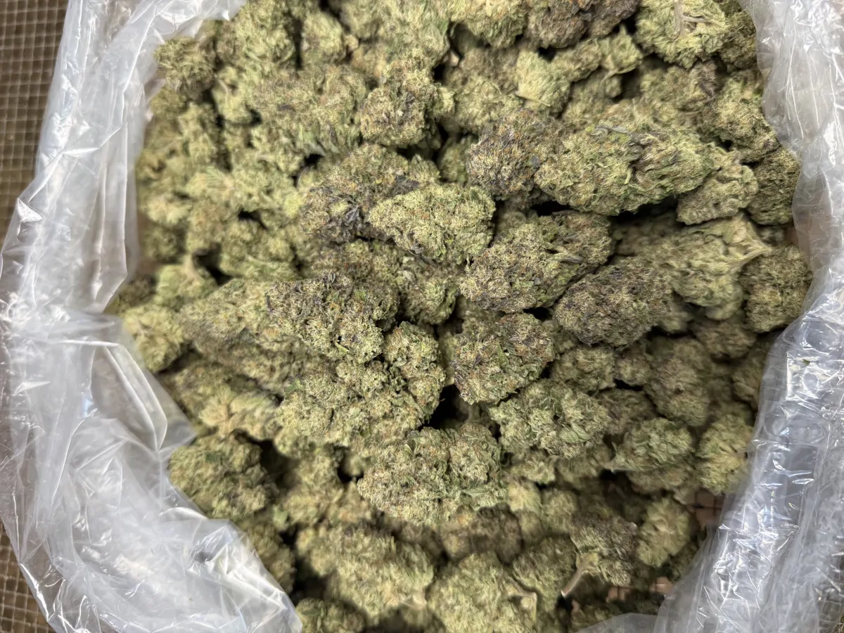 Cadillac Rainbow Packaged Flower